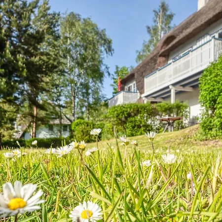 Achtern Diek Haus 13b 6 아파트 *