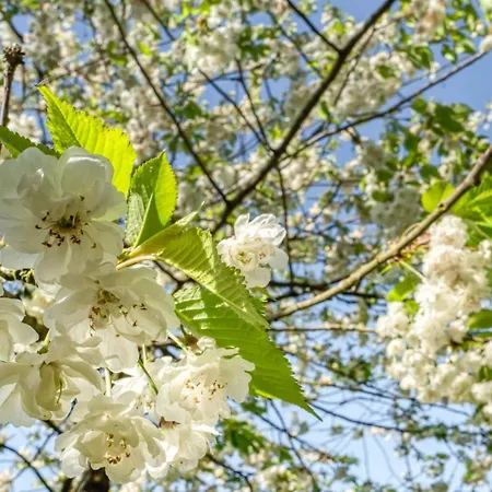 아파트 Achtern Diek Haus 13b 6 *